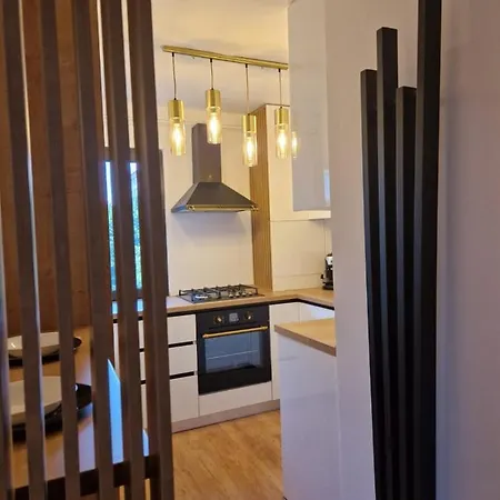 Savas King Appartement Braşov